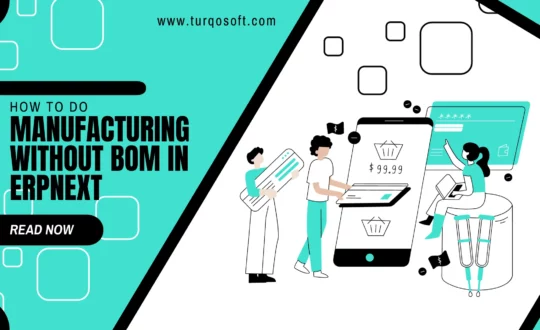 How to do Manufacturing Without BOM in ERPNext