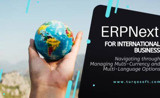 ERPNext for International Business - Navigating through Managing Multi-Currency and Multi-Language Options