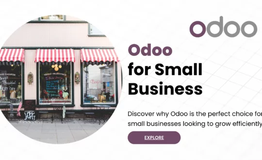 Odoo for Small Business