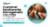 Customer Relationship Management (CRM) System to Stop Losing Sales