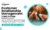 Customer Relationship Management (CRM) System to Stop Losing Sales